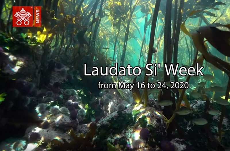 Pope Francis invites the Church to celebrate Laudato Si’ Week