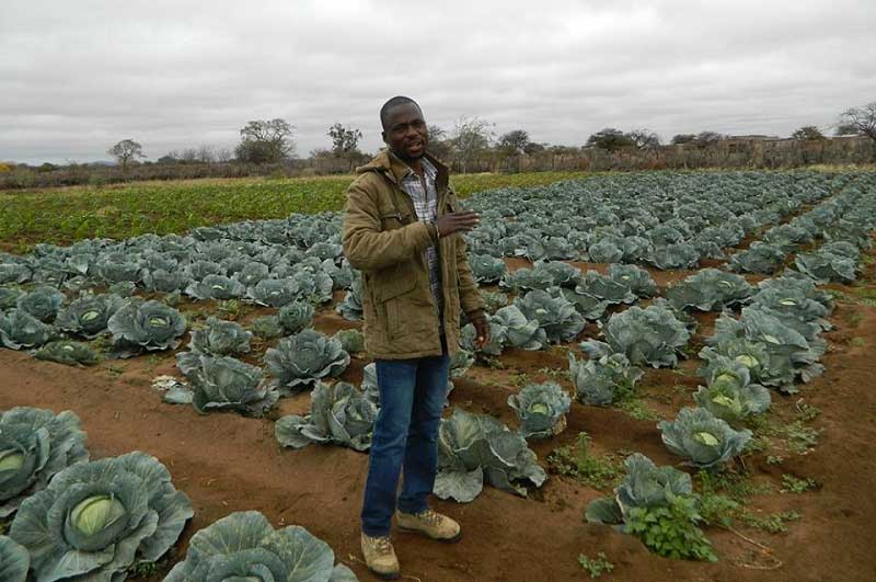 In Africa, farmers learn new methods for facing drought, floods
