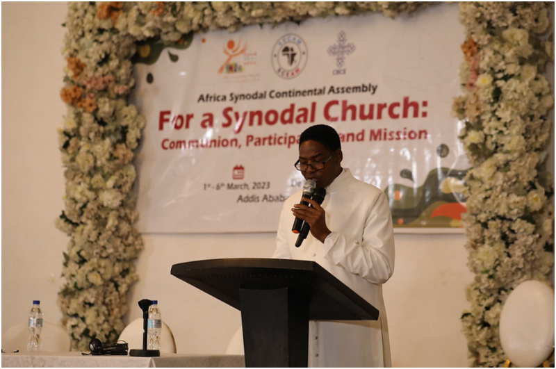 Share African Experience of Synod on Synodality