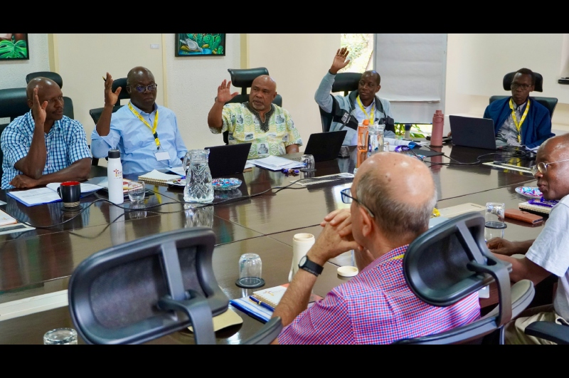 Discerning on the Future for Jesuit formation in Africa and Madagascar