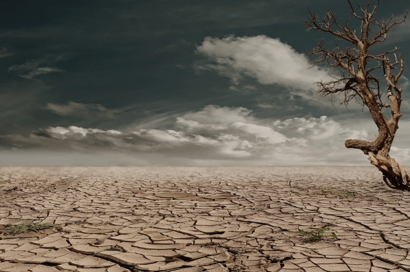 Poor Earth! An Ignatian Reflection on Ecology